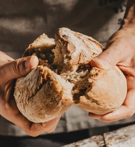bread