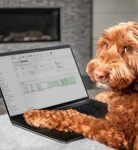 dog on laptop