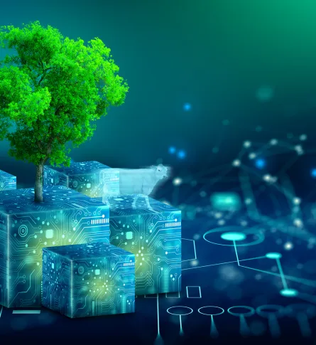 Sustainability 
