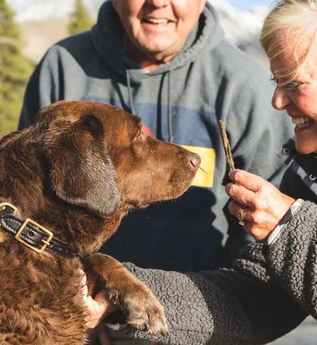 dog getting a treat 