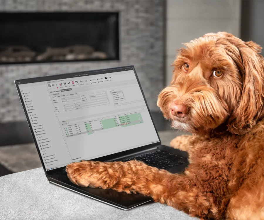 dog on laptop