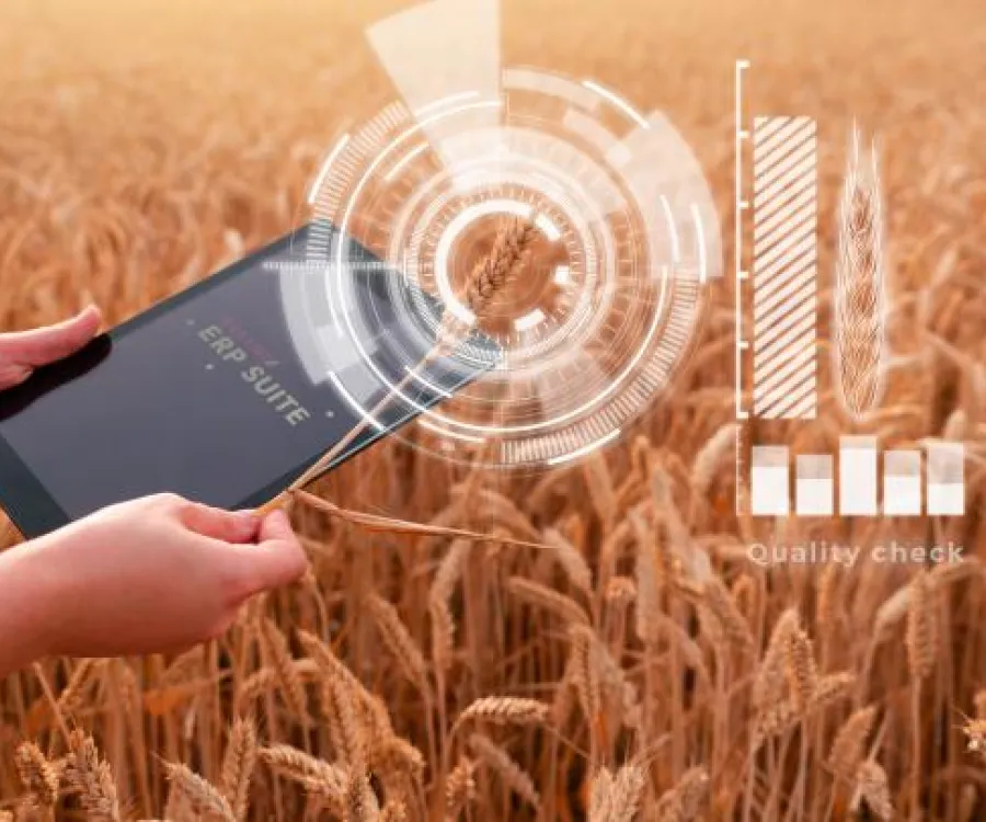feeding the future
